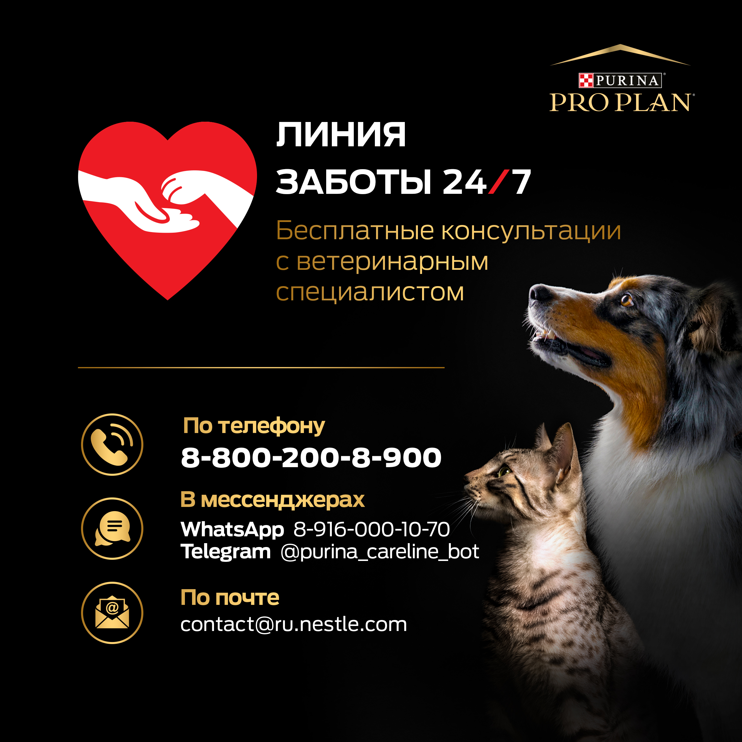 PRO PLAN® Sterilised Kitten HEALTHY START для стерилизованных котят от 3 до 12 месяцев, с высоким содержанием лосося