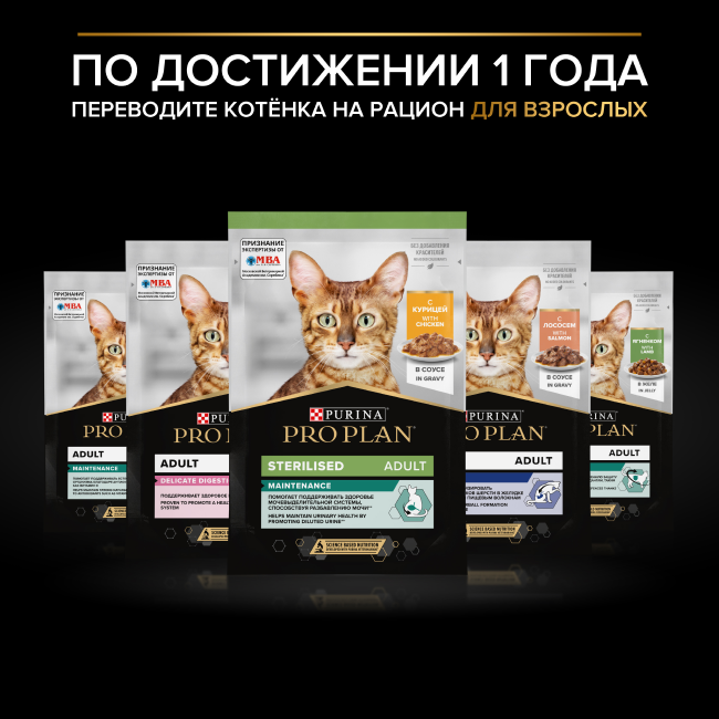 PRO PLAN® HEALTHY START для котят, с говядиной в соусе