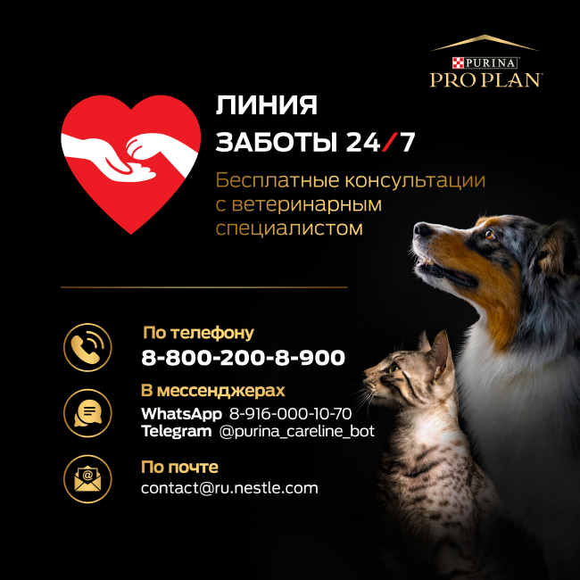 PRO PLAN® Sterilised RENAL PLUS для взрослых стерилизованных кошек для поддержания здоровья почек с кроликом