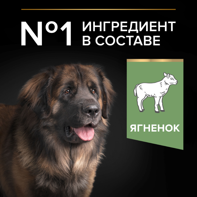 PRO PLAN® SENSITIVE DIGESTION для взрослых собак крупных пород с мощным телосложением с чувствительным пищеварением, с высоким содержанием ягненка