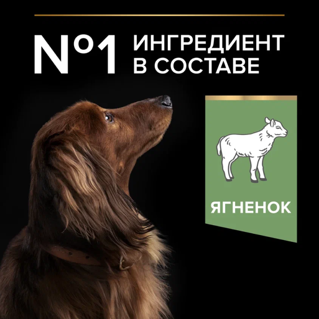 PRO PLAN® SENSITIVE DIGESTION для взрослых собак мелких и карликовых пород с чувствительным пищеварением, с высоким содержанием ягненка