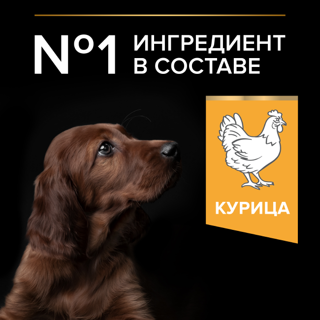 PRO PLAN® HEALTHY START для щенков крупных пород с атлетическим телосложением, с высоким содержанием курицы