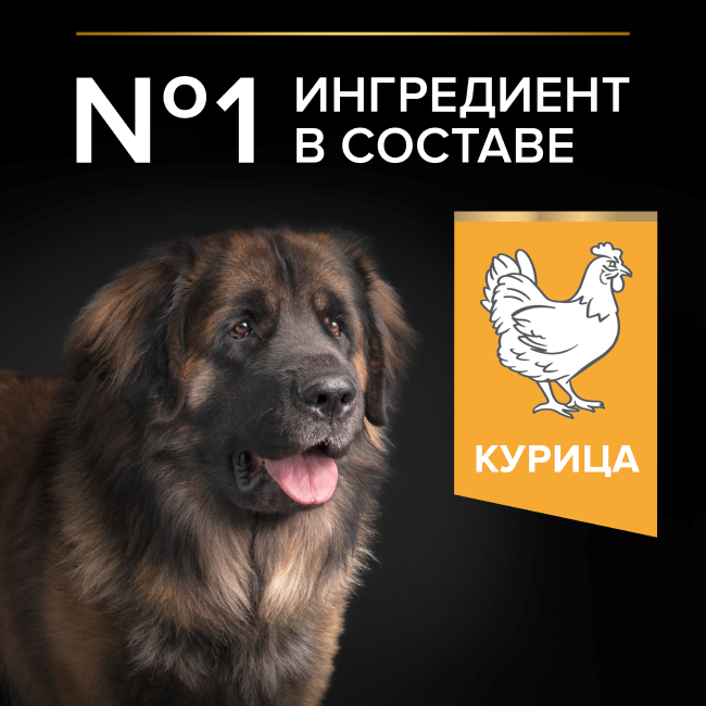 PRO PLAN® EVERYDAY NUTRITION для взрослых собак крупных пород с мощным телосложением, с высоким содержанием курицы