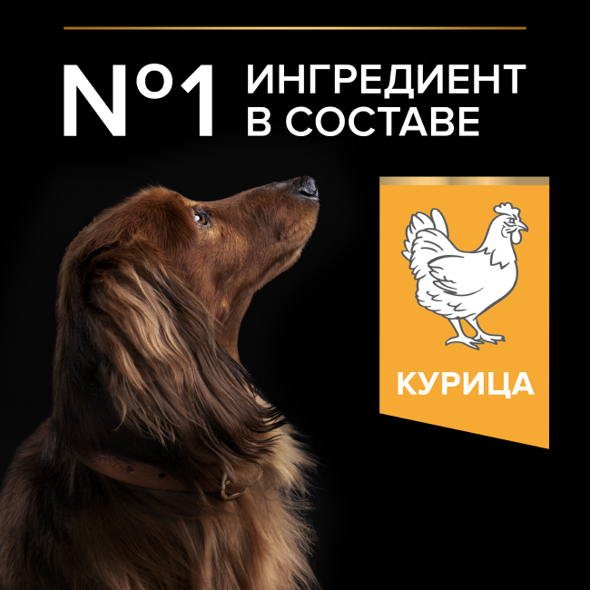 PRO PLAN® EVERYDAY NUTRITION для взрослых собак мелких и карликовых пород, с высоким содержанием курицы