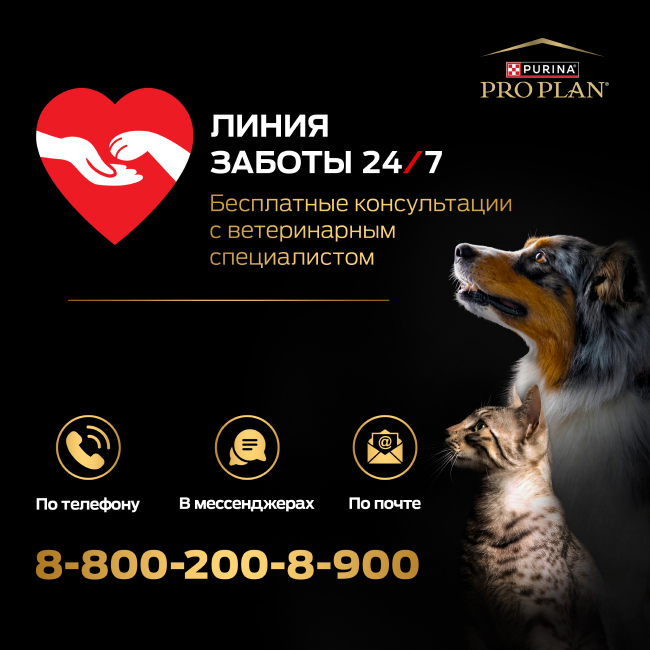 PRO PLAN® HEALTHY START для щенков крупных пород с мощным телосложением, с высоким содержанием курицы