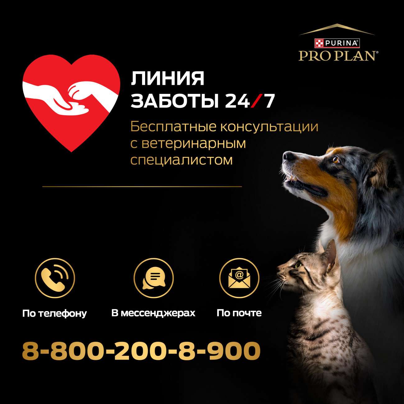 Сухой корм PRO PLAN® DELICATE DIGESTION для кошек старше 7 лет с чувствительным пищеварением, с высоким содержанием индейки