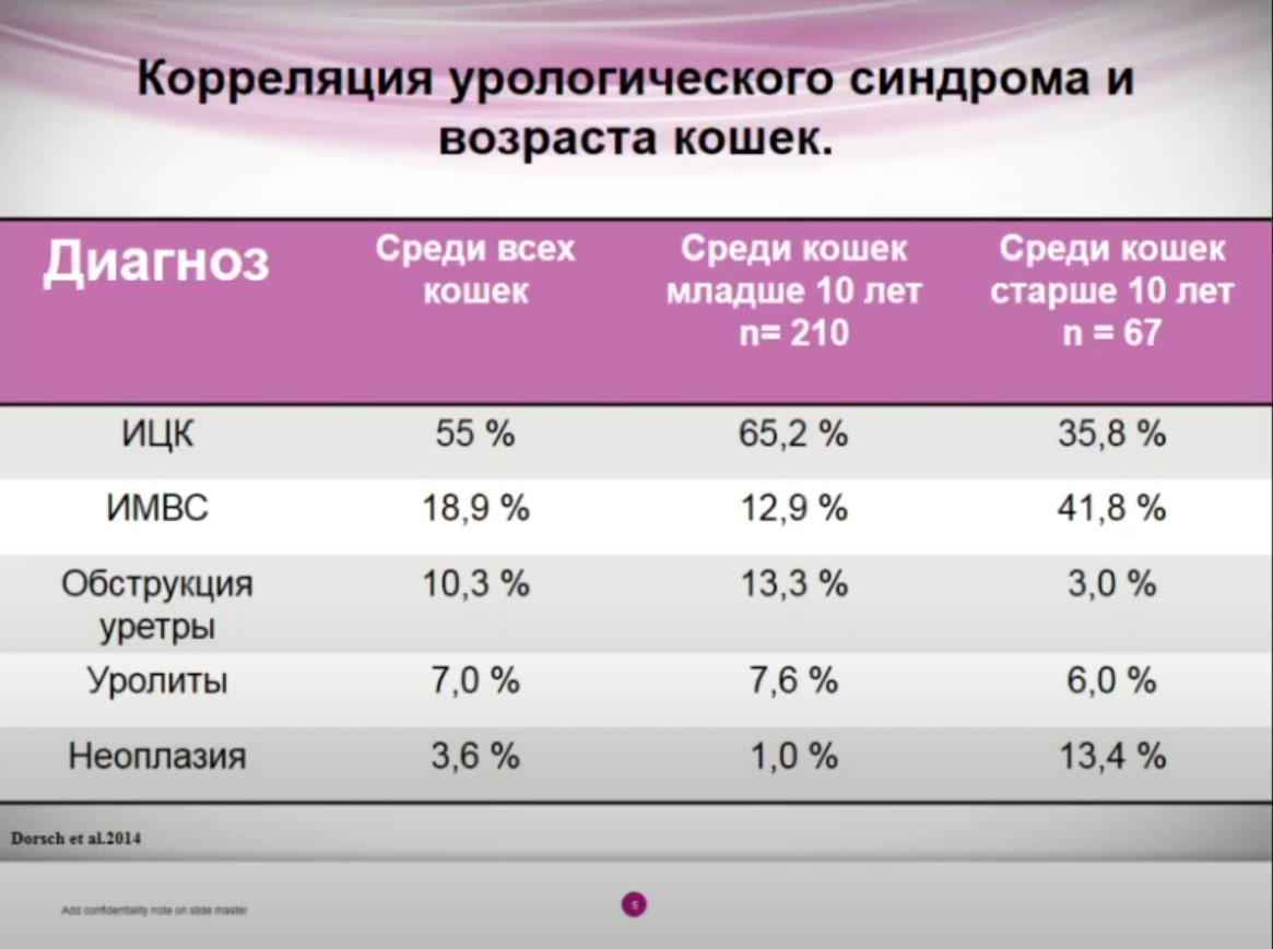 Корреляция урологического синдрома и возраста кошек