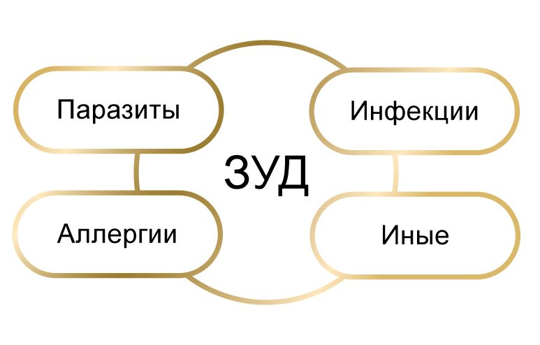 Основные причины зуда у кошек